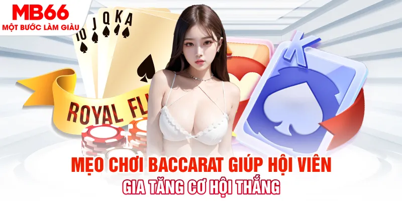 đá gà 88