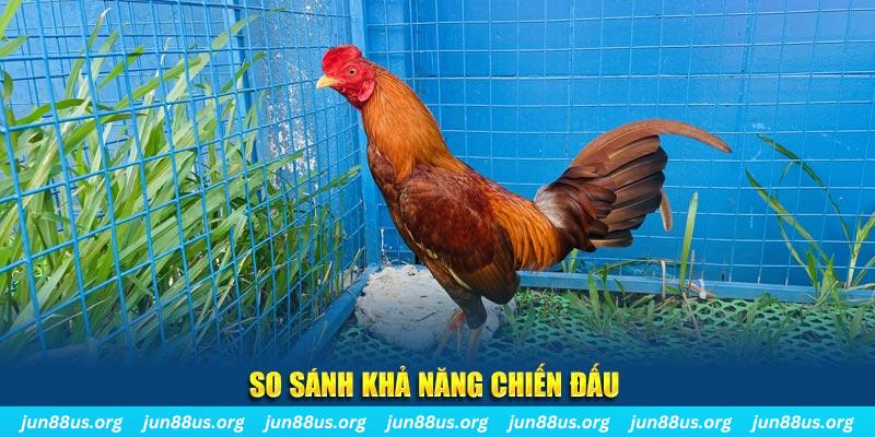 ee8801 xổ số tiền giang