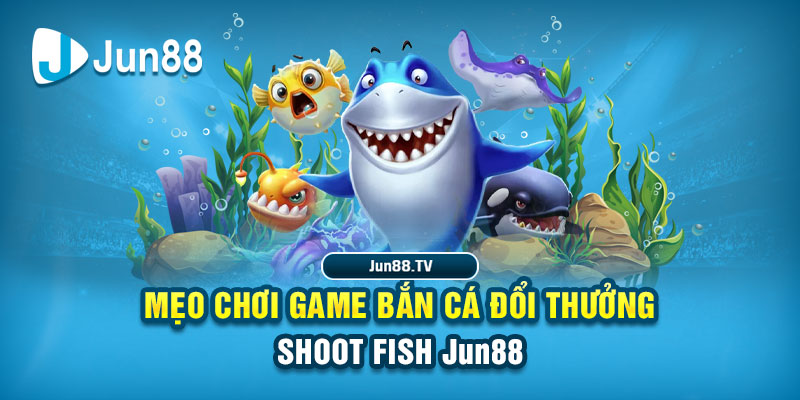ee8801 tai game danh bai bigkool ve may tinh