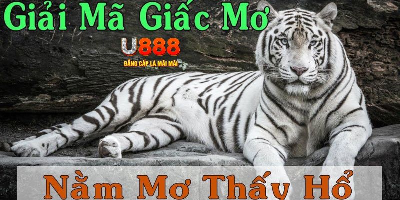 ee8801 xổ số kiến thiết miền bắc