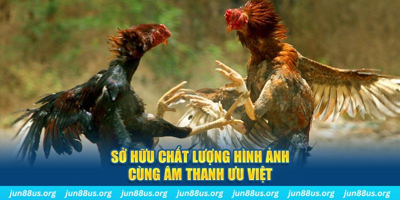 ee8801 tai game danh bai ve may tinh