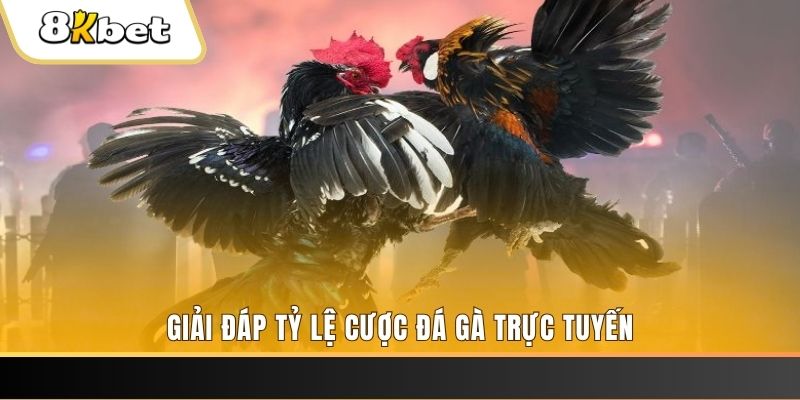 ee8801 xổ số ba đài