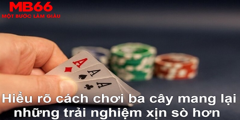 ÁT CHỦ BÀI GIÀNH LẤY ZHUANG NIUNIU ( XEM 3 LÁ )