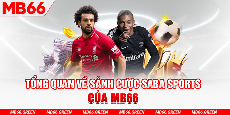 ee8801 slot có nghĩa là gì