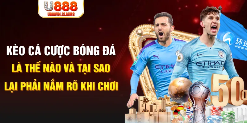ee8801 slot la gì